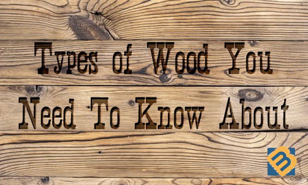 Types of Wood You Need To Know About