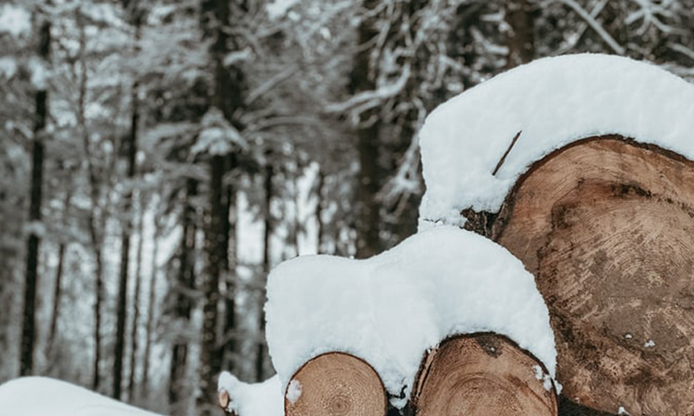 wood in winter