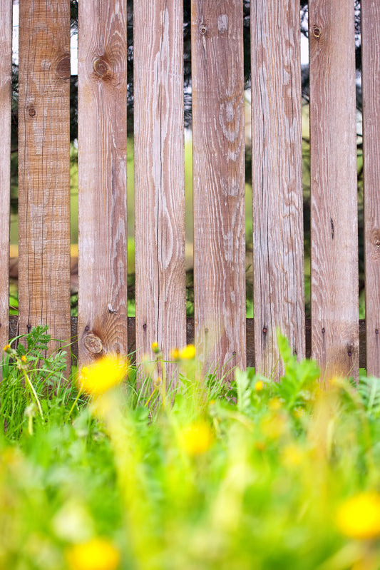 Why Timber Fence Posts Are Still the Go-To for Traditional Garden Fences