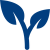 Icon 1